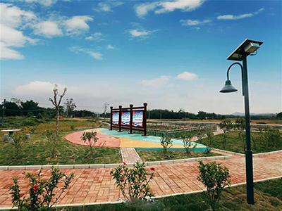 生活乐竞（中国）